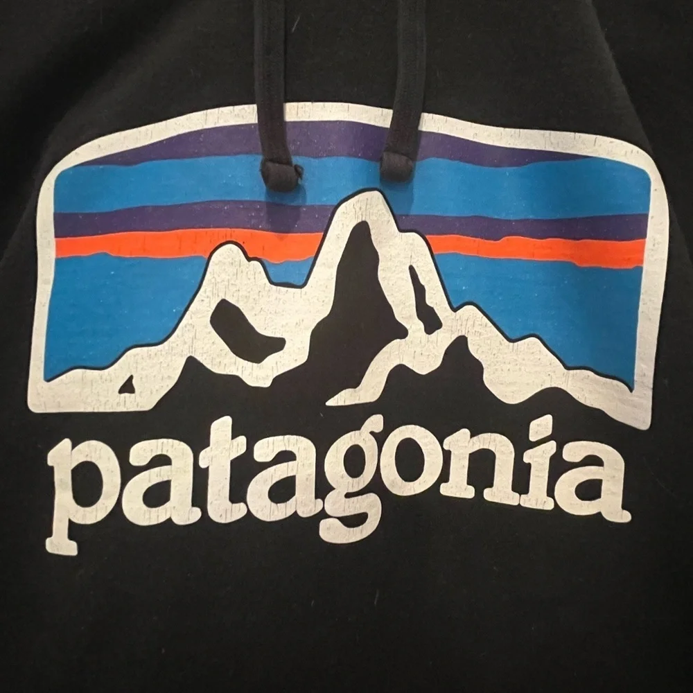 Patagonia Black Hoodie with Mountain Logo